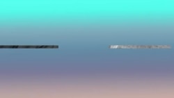 Стихийный бизнес в центре Воронежа