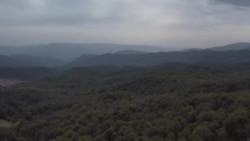 Кто зарабатывает на орехах Джалал-Абада