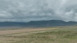 Фельдшер на лошади